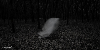 A ghost in a dark forest | Free stock photo - 457297 A ghost in a dark forest | Free stock photo - 457297