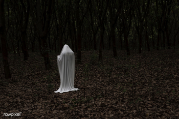 A ghost in a dark forest | Free stock photo - 457317 A ghost in a dark forest | Free stock photo - 457317