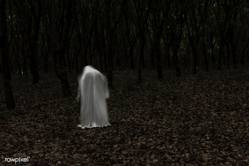 A ghost in a dark forest | Free stock photo - 457318 A ghost in a dark forest | Free stock photo - 457318