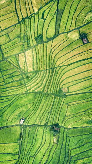 A grid A grid
