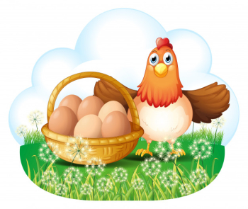 A hen with eggs in a basket Free Vector