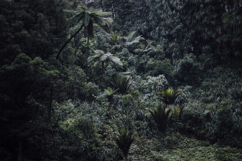 A high-angle shot of a humid | Free Photo - rawpixel