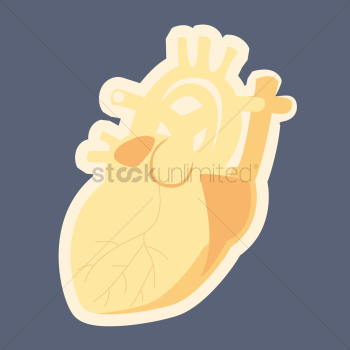 A human heart A human heart