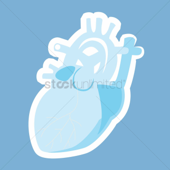 A human heart A human heart