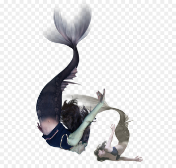A Mermaid Cartoon Computer file - Mermaid A Mermaid Cartoon Computer file - Mermaid