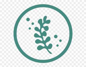 A Natural Solution - Seaweed Icon Png A Natural Solution - Seaweed Icon Png