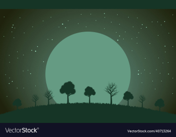 a night landscape a night landscape