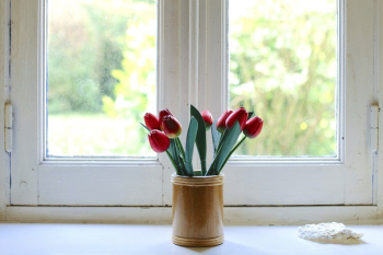 A pot of red tulips. | Free Photo - rawpixel