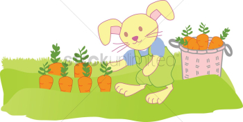 A rabbit harvesting carrots A rabbit harvesting carrots