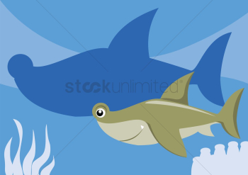 A shark A shark