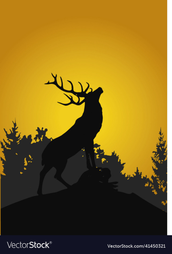 a silhouette of barren ground caribou bull a silhouette of barren ground caribou bull