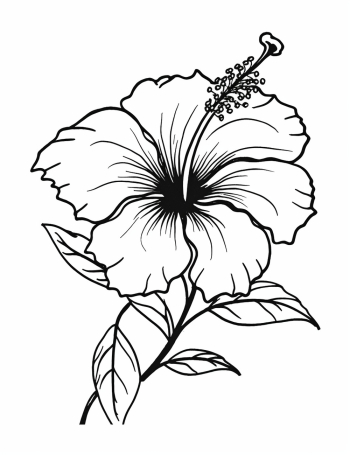 A simple black and white line drawing in the pictorial style of a hibiscus flower