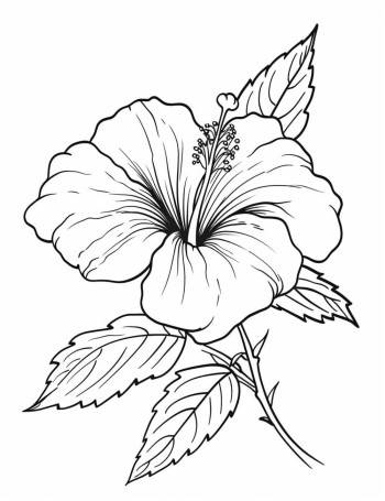 A simple black and white line drawing in the pictorial style of a hibiscus flower