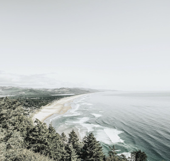 A snow covered, tree-lined shoreline | Free Photo - rawpixel