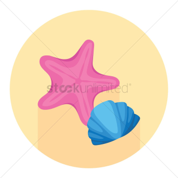 A starfish and seashell A starfish and seashell