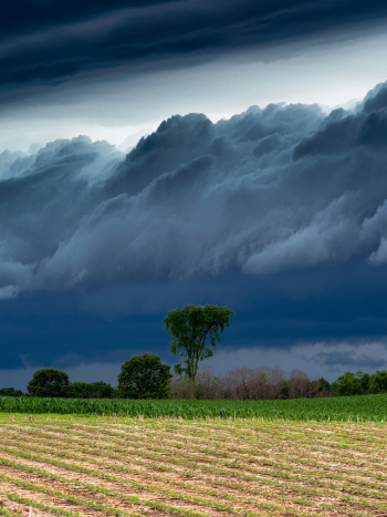 A Storm Warning