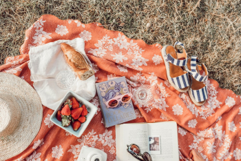 A Summer Picnic