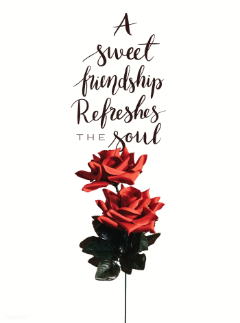 A sweet friendship refreshes the soul | Free stock photo - 559929 A sweet friendship refreshes the soul | Free stock photo - 559929
