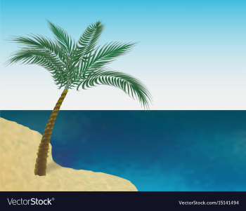 A tropical green palm tree on the sandy beach of vector image A tropical green palm tree on the sandy beach of vector image