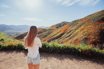 A Woman Enjoying the Scenic View of Hillside Covered with Blooming Flowers