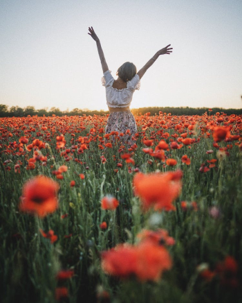 A Woman in a Flower Field