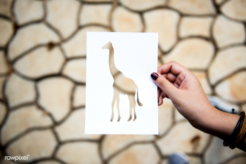 Abstract animal artwork | Free stock photo - 91648 Abstract animal artwork | Free stock photo - 91648