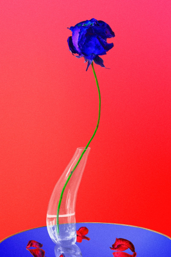 Abstract background, trippy red rose flower | Free stock illustration | High Resolution graphic