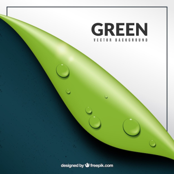 Abstract background with modern leaf Abstract background with modern leaf
