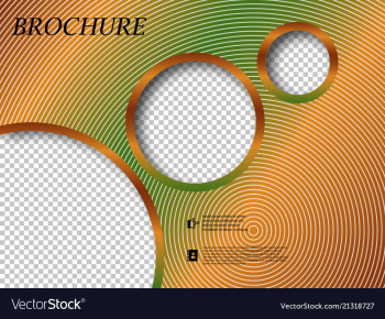 Abstract binder layout white a4 brochure cover vector image Abstract binder layout white a4 brochure cover vector image