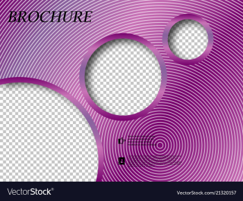 Abstract binder layout white a4 brochure cover vector image Abstract binder layout white a4 brochure cover vector image