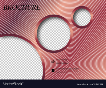 Abstract binder layout white a4 brochure cover vector image Abstract binder layout white a4 brochure cover vector image