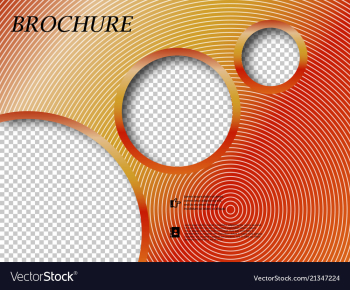 Abstract binder layout white a4 brochure cover vector image Abstract binder layout white a4 brochure cover vector image