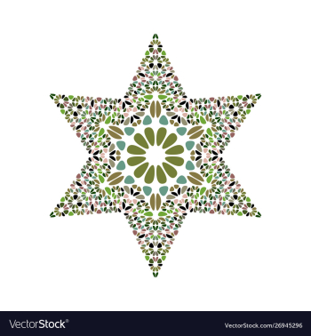 Abstract colorful isolated petal star logo vector image Abstract colorful isolated petal star logo vector image