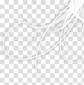 Abstract divider, white waves transparent background PNG clipart Abstract divider, white waves transparent background PNG clipart