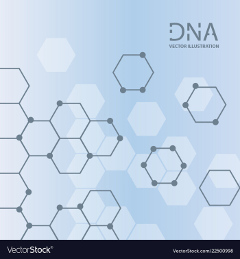 Abstract dna strand symbol isolated on white vector image