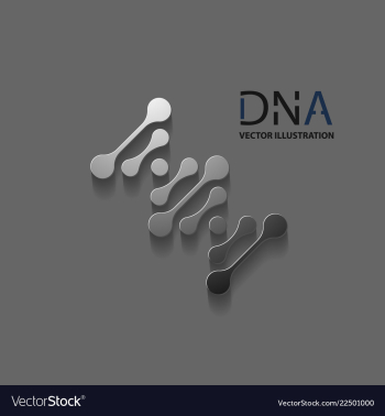 Abstract dna strand symbol isolated on white vector image