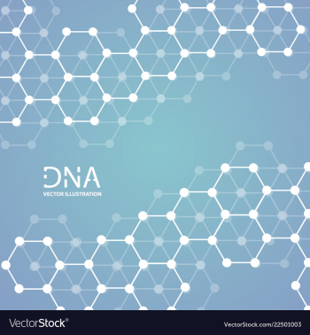 Abstract dna strand symbol isolated on white vector image