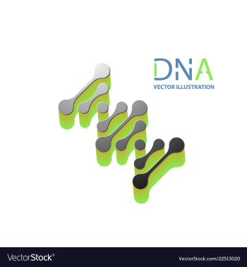 Abstract dna strand symbol isolated on white vector image