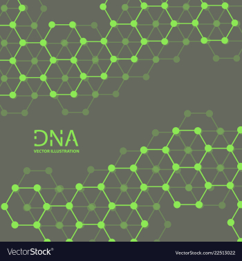 Abstract dna strand symbol isolated on white vector image