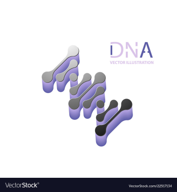 Abstract dna strand symbol isolated on white vector image