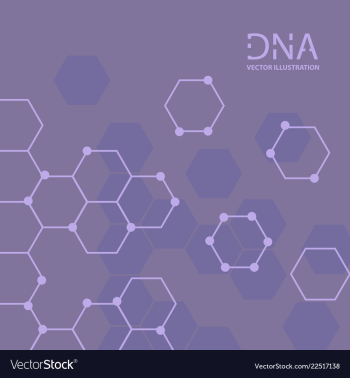 Abstract dna strand symbol isolated on white vector image