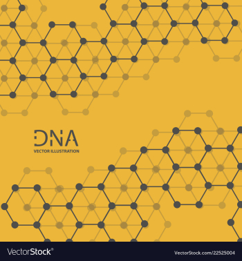 Abstract dna strand symbol isolated on white vector image