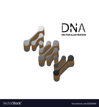 Abstract dna strand symbol isolated on white vector image