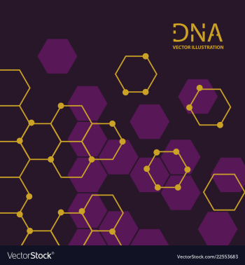 Abstract dna strand symbol isolated on white vector image