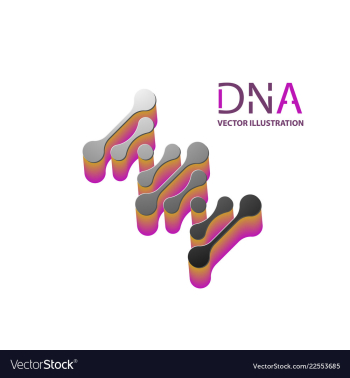 Abstract dna strand symbol isolated on white vector image