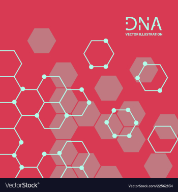 Abstract dna strand symbol isolated on white vector image