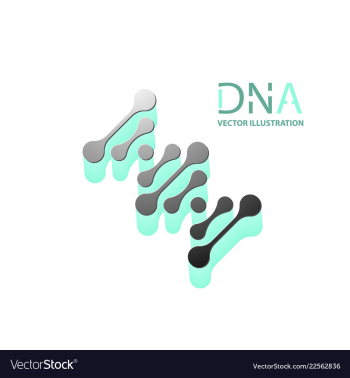 Abstract dna strand symbol isolated on white vector image