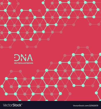 Abstract dna strand symbol isolated on white vector image