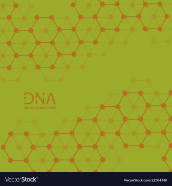 Abstract dna strand symbol isolated on white vector image