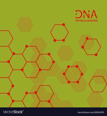 Abstract dna strand symbol isolated on white vector image